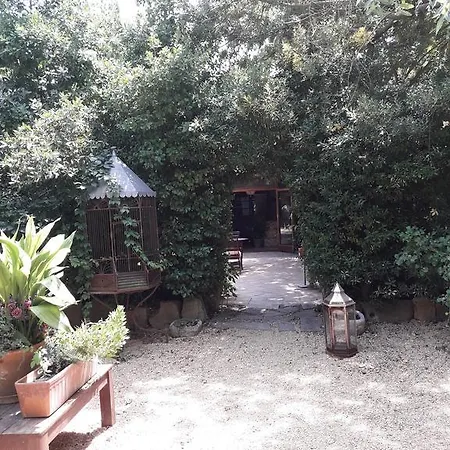 Hotel Fonda La Pepa Maca *